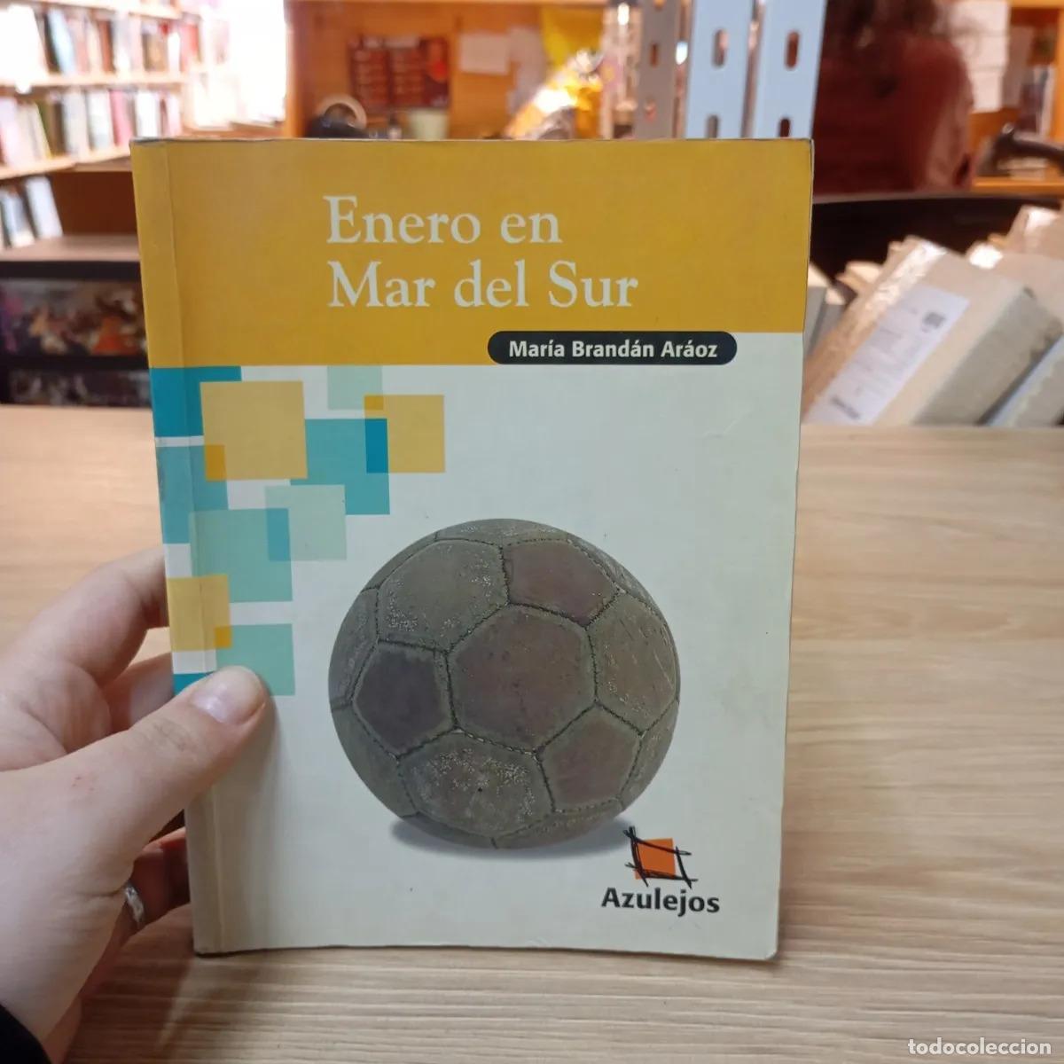 B&uuml;cher: Enero en Mar del Sur - Mar&iacute;a Brand&aacute;n Ar&aacute;oz