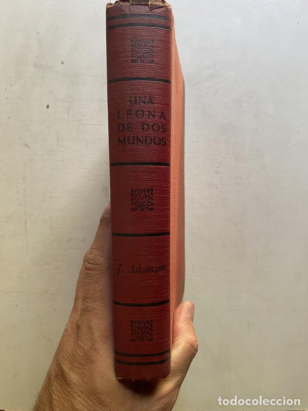 books: Una leona de dos mundos - Adamson, J.