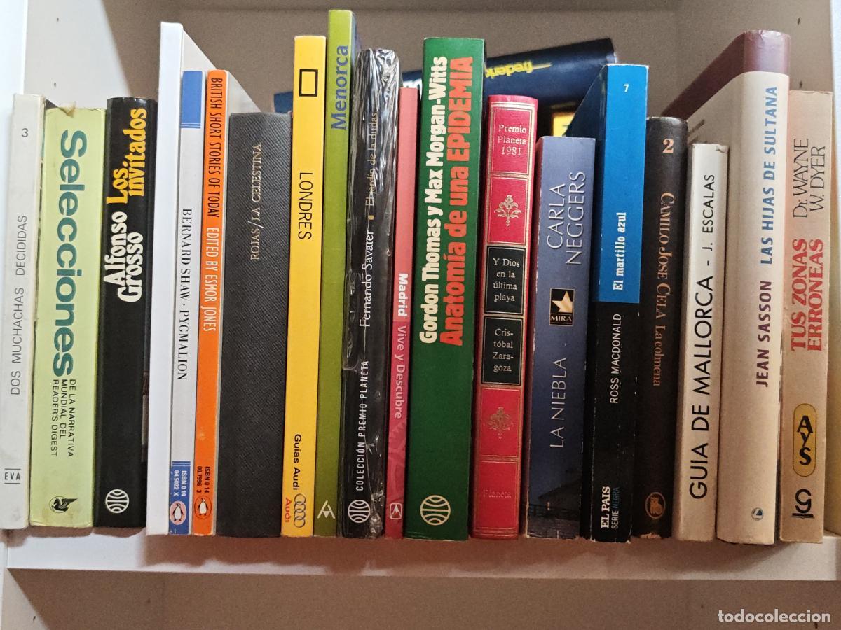 Libros: OFERTA - MAGNIFICO LOTE 20 LIBROS DIFERENTES -
