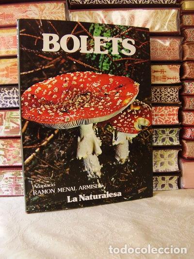 B&uuml;cher: Bolets. La naturalesa- 9788474890181