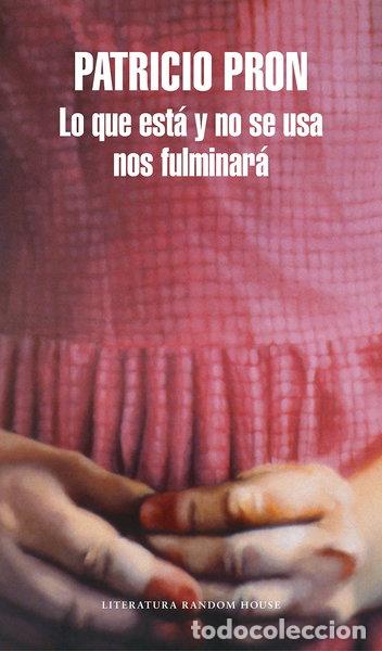 Libros: Lo que est&aacute; y no se usa nos fulminar&aacute;- 9788439733737