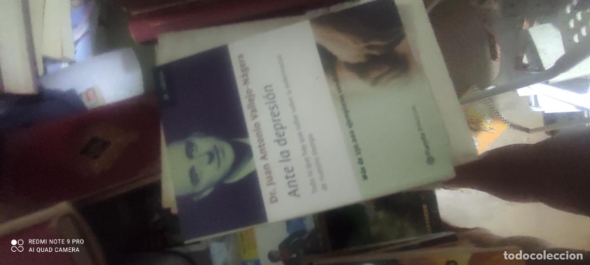 Libros: V. N&aacute;jera. Ante la decepci&oacute;n