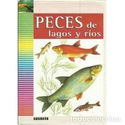 Libros: Peces de lagos y r&iacute;os- 9788430575299