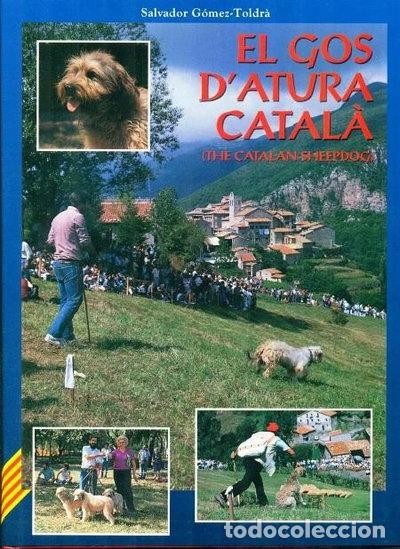 Libros: El Gos D'atura Catal&agrave;- 9788488744012