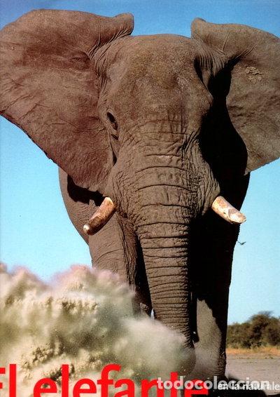 Libros: El Elefante en la naturaleza y en la historia- 9783829017534