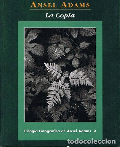 B&uuml;cher: La copia- 9788488914071