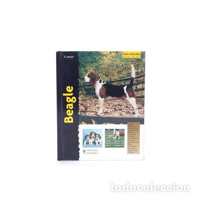 books: Beagle- 9788425514593