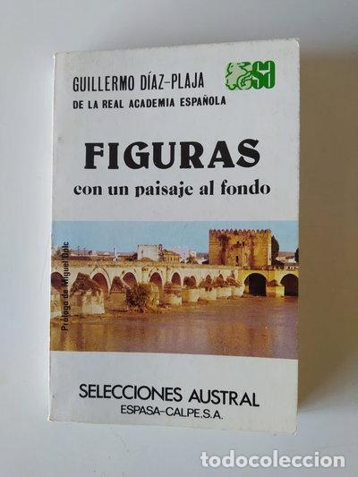 B&uuml;cher: Figuras con un paisaje al fondo- 9788423920846