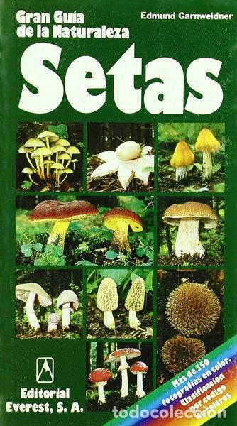 Libros: Setas- 9788424126605 - Foto 1