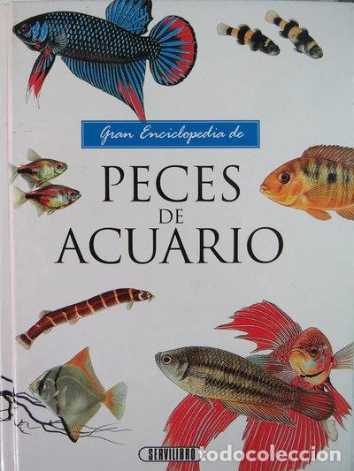Livros em segunda m&atilde;o: Gran enciclopedia de peces de acuario- 9788479712747