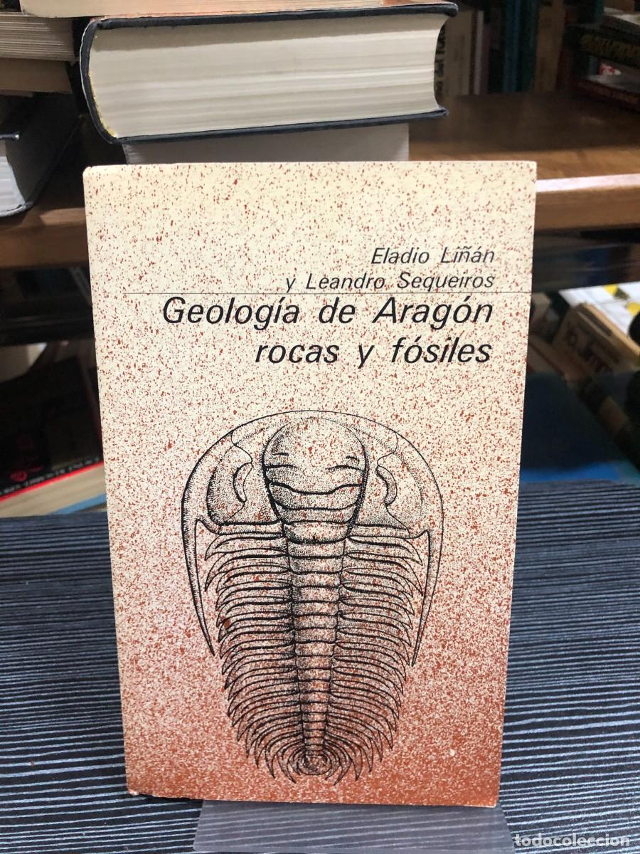 Libros: Geolog&iacute;a de Arag&oacute;n: rocas y f&oacute;siles Eladio Li&ntilde;&aacute;n y Leandro Sequeiros
