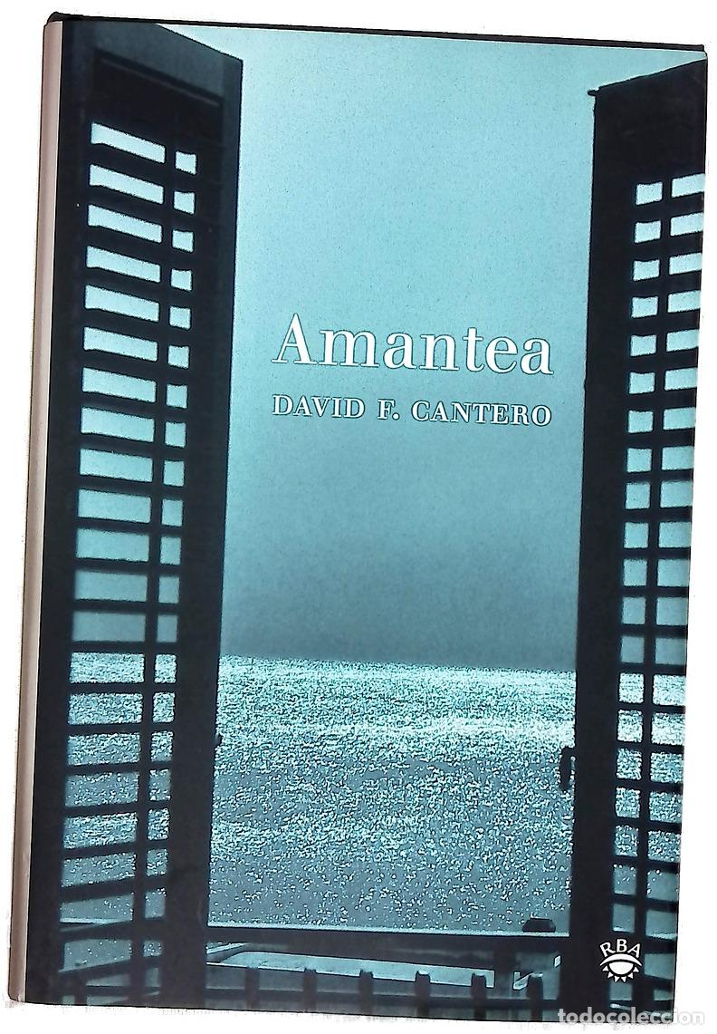 Libros: Amantea - Cantero, David - RBA