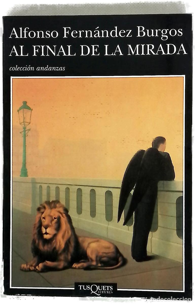 Libros: Al final de la mirada - Fern&aacute;ndez Burgos, Alfonso
