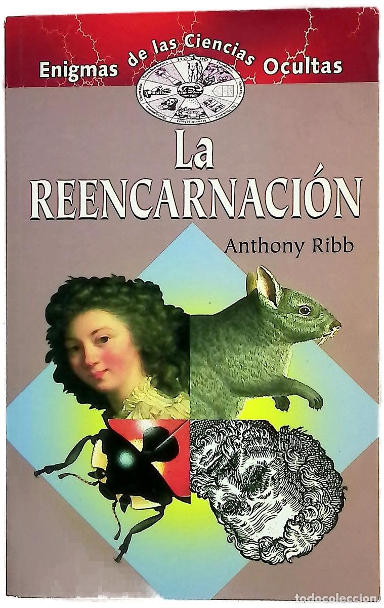 Libros: La reencarnaci&oacute;n - Ribb, Anthony