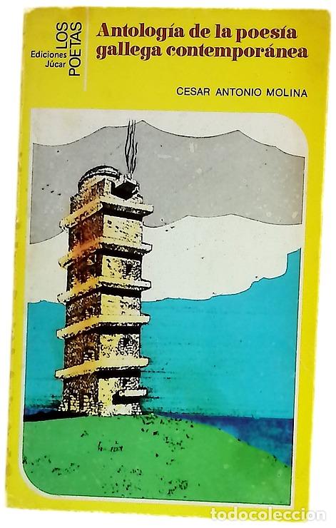 Livros em segunda m&atilde;o: Antolog&iacute;a de la poes&iacute;a gallega contempor&aacute;nea