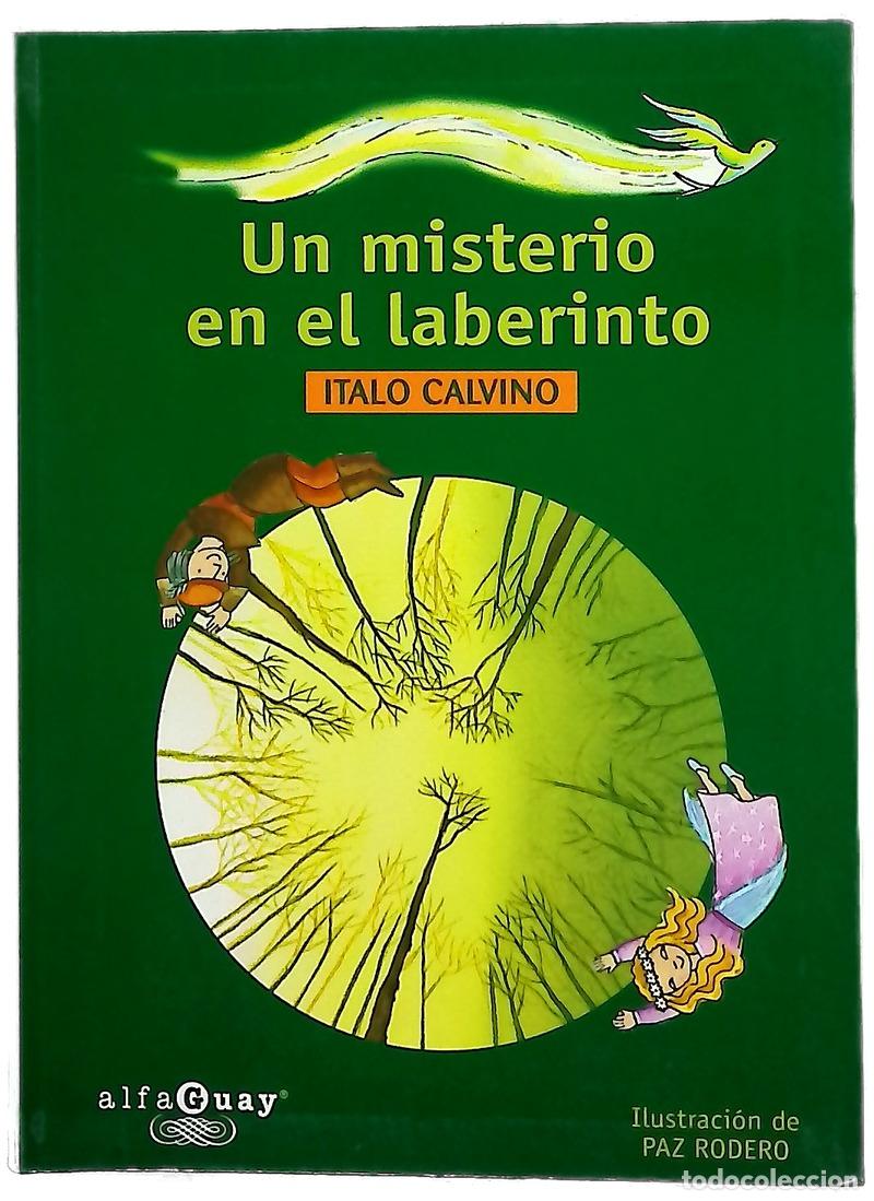 Livros em segunda m&atilde;o: Un misterio en el laberinto