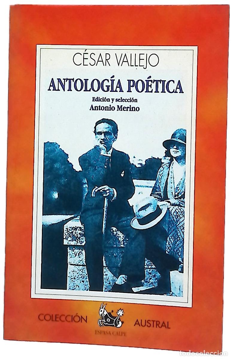 Libros: Antolog&iacute;a po&eacute;tica - Vallejo, C&eacute;sar; Merino, Antonio