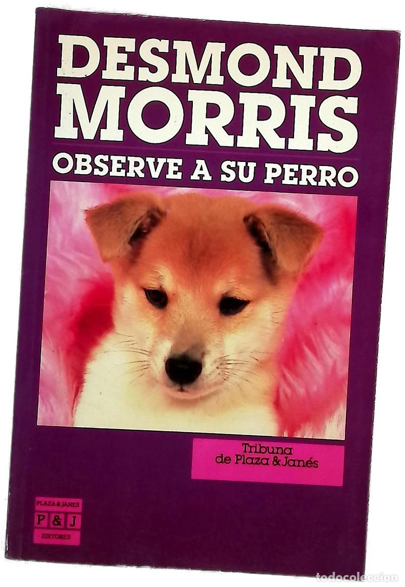 Libros: Observe a su perro - Morris, Desmond