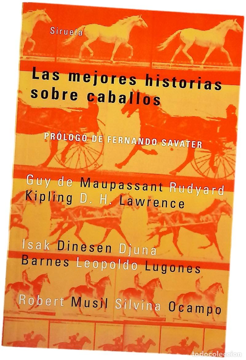 B&uuml;cher: Las mejores historias sobre caballos