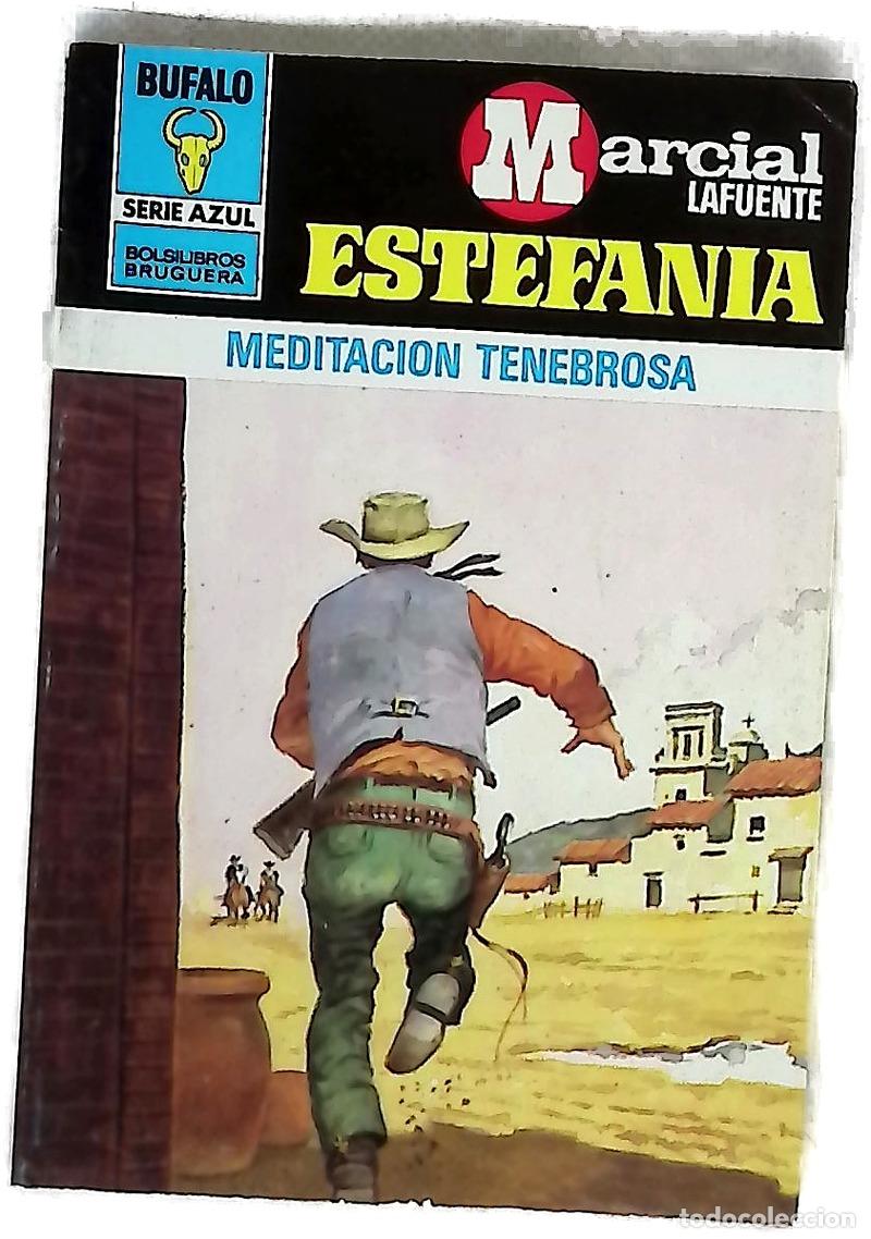 B&uuml;cher: Novelas del Oeste. Meditaci&oacute;n tenebrosa