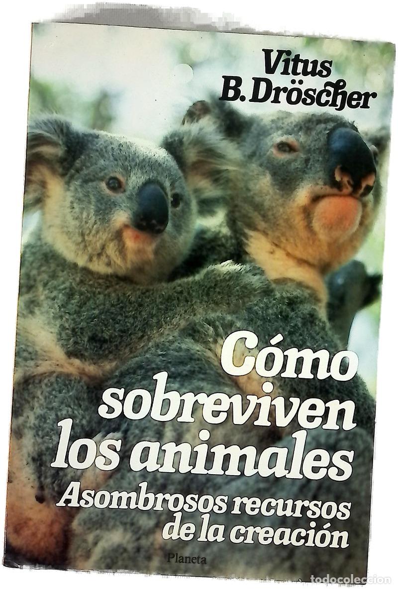 Livros em segunda m&atilde;o: C&oacute;mo sobreviven los animales asombrosos recursos de la creaci&oacute;n