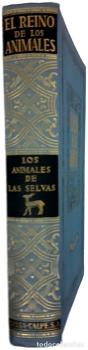 Libri di seconda mano: El reino de los animales. Los Animales de Las Selvas. El animal en su medio ambiente