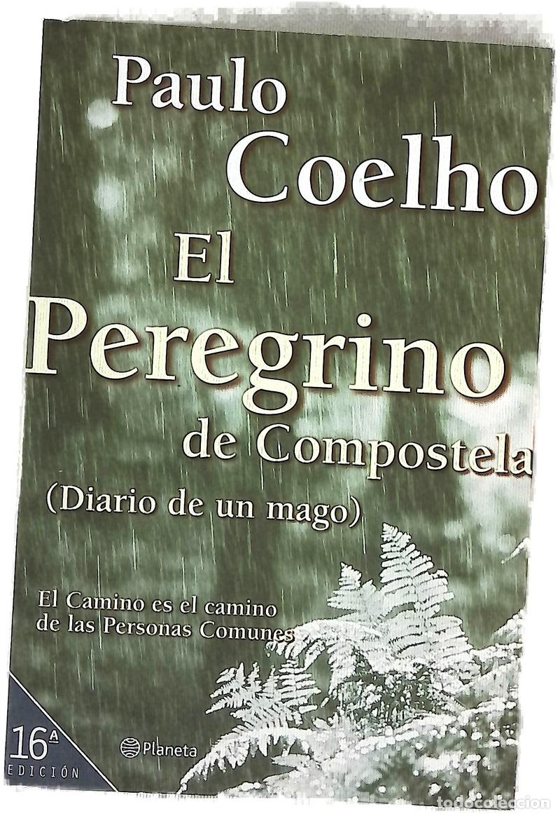 Livres: El peregrino de Compostela (diario de un mago)