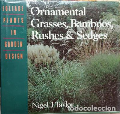 Libros: Ornamental Grasses, Bamboos, Rushes & Sedges- 9780706370614