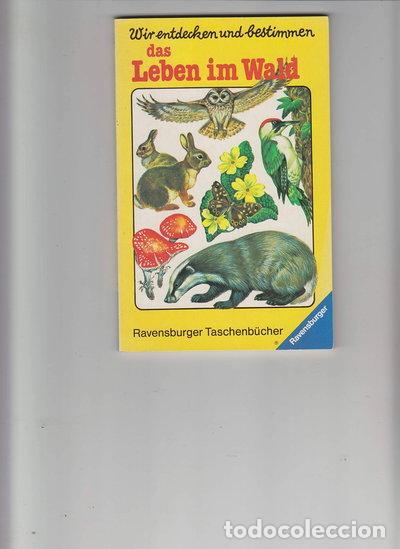 Libros: Wir entdecken und bestimmen das Leben im Wald- 9783473386246