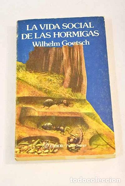 B&uuml;cher: La vida social de las hormigas- 9788433502681