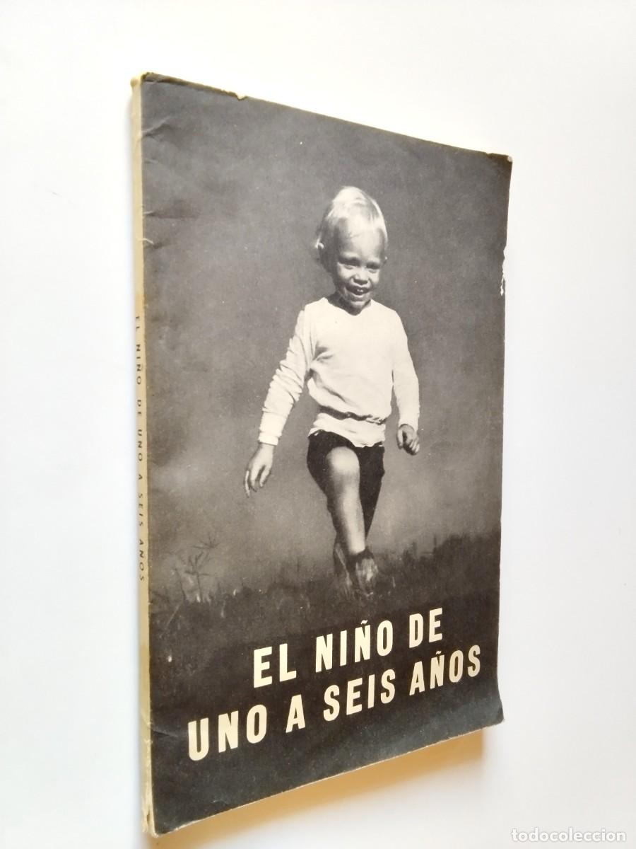 El ni&ntilde;o de uno a seis a&ntilde;os