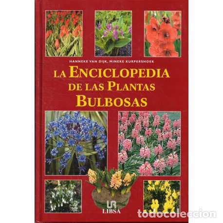 B&uuml;cher: La enciclopedia de las plantas bulbosas - Hanneke van Dijk / Mineke Kurpershoek