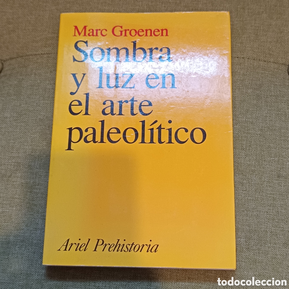 Libros: Sombra y luz en el arte paleol&iacute;tico. Groenen, Marc