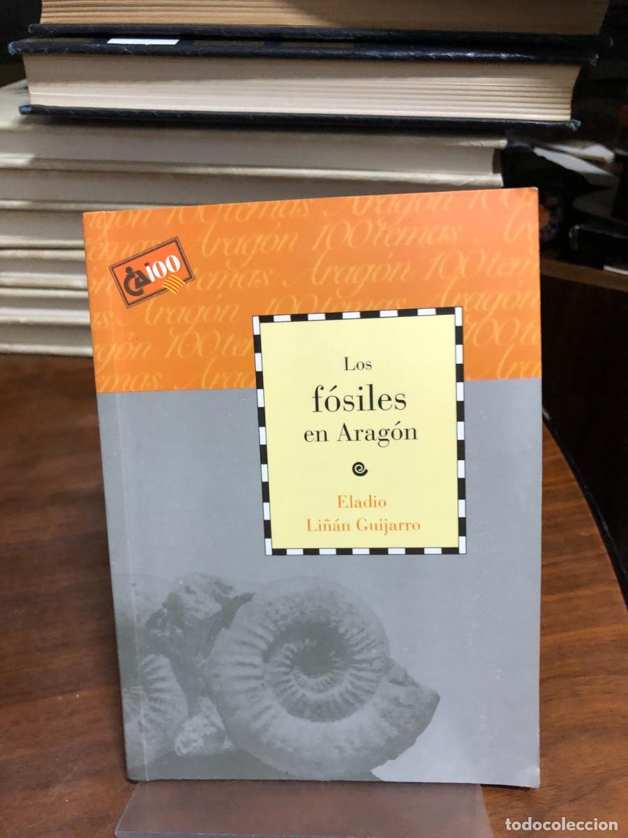 Libri di seconda mano: Los f&oacute;siles en Arag&oacute;n Eladio Li&ntilde;&aacute;n Guijarro