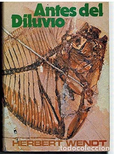 Libros: Antes del diluvio- 9788427908093 - Foto 1