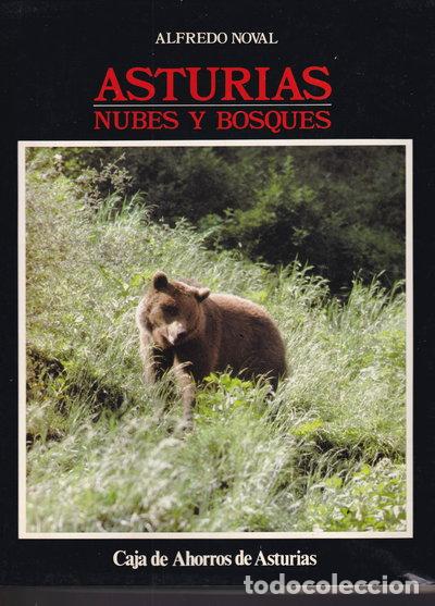 Livres: Asturias. Nubes y bosques- 9788472319486