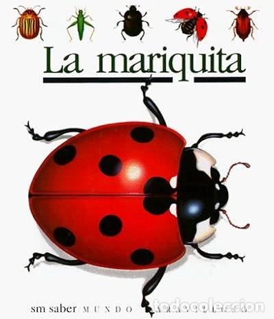 Livros em segunda m&atilde;o: La mariquita- 9788434834675