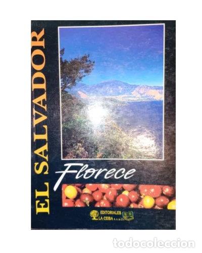 Libros: El Salvador- 9788424196158