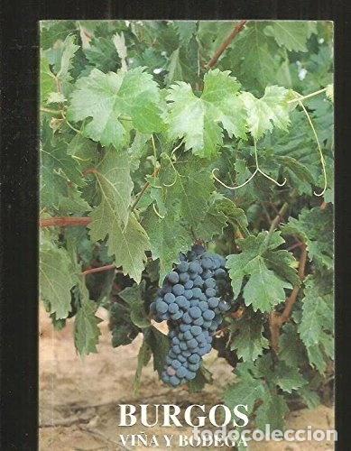 B&uuml;cher: Burgos, vi&ntilde;a y bodega- 9788487152054