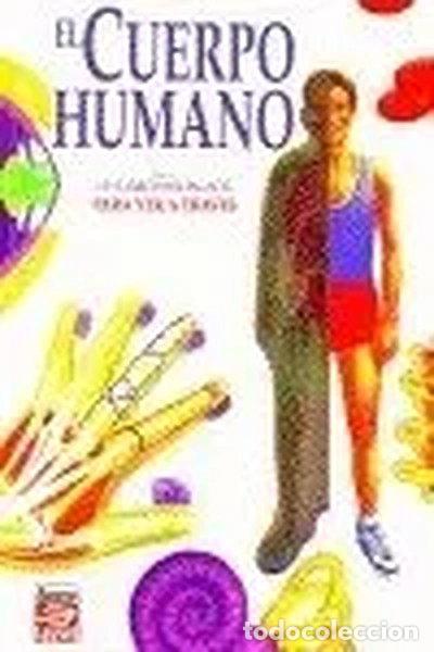 B&uuml;cher: El Cuerpo Humano- 9788489705029