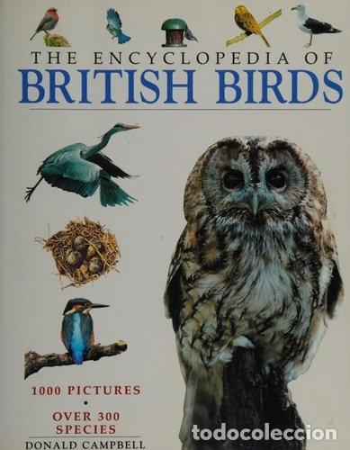 books: Encyclopaedia of British Birds- 9780752565644