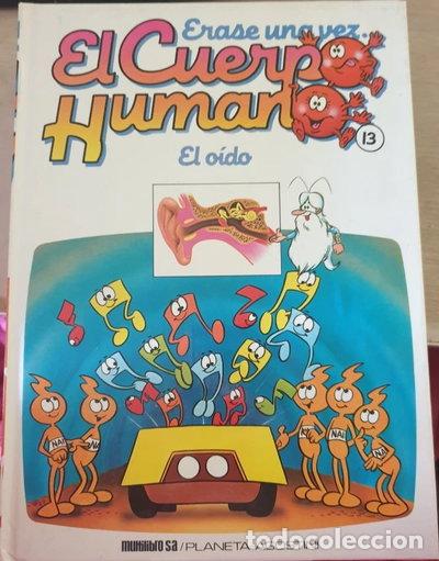 Livros em segunda m&atilde;o: &Eacute;rase una vez el cuerpo humano, Tomo 13: El o&iacute;do- 9788477121220