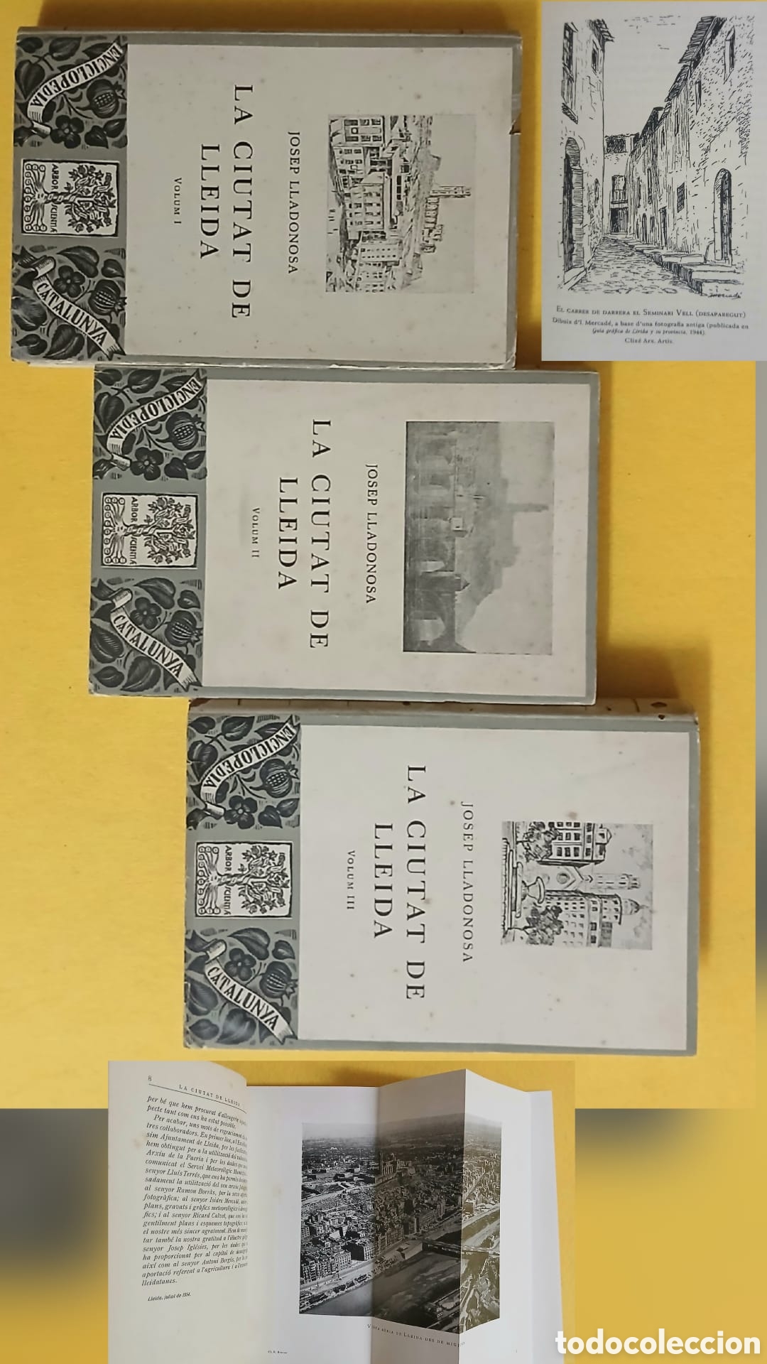 Libros: La ciutat de Lleida, Lladonosa