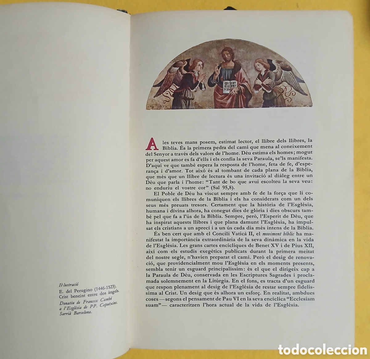 Libros: La biblia, fundaci&oacute; biblica catalana - Foto 4