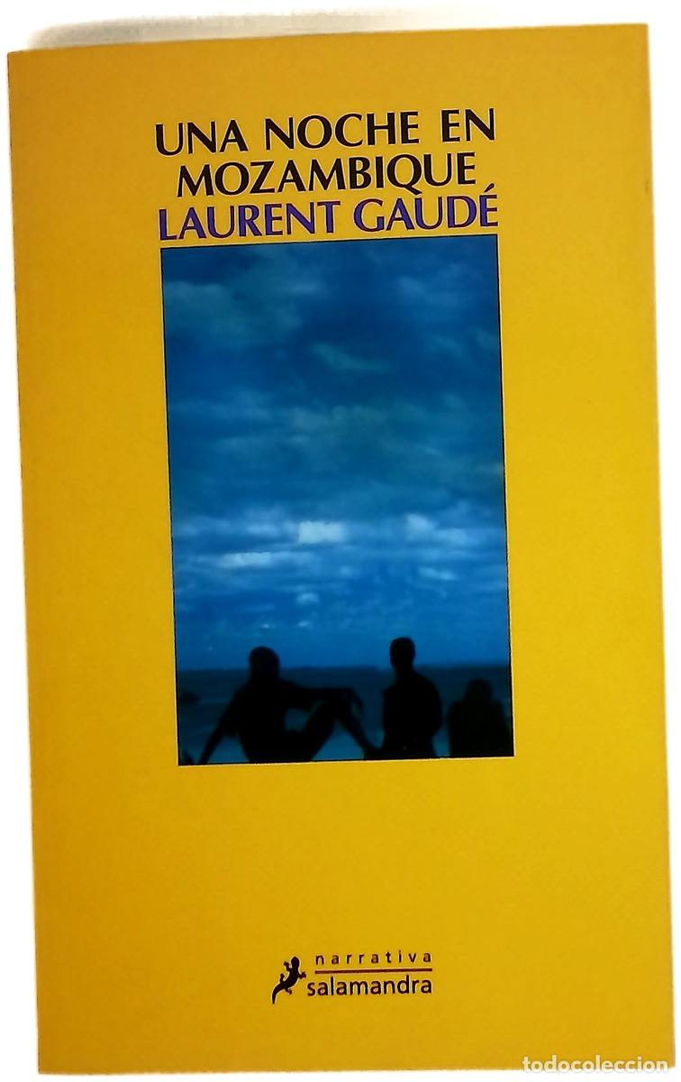 Libros: Una noche en Mozambique - Gaud&eacute;, Laurent