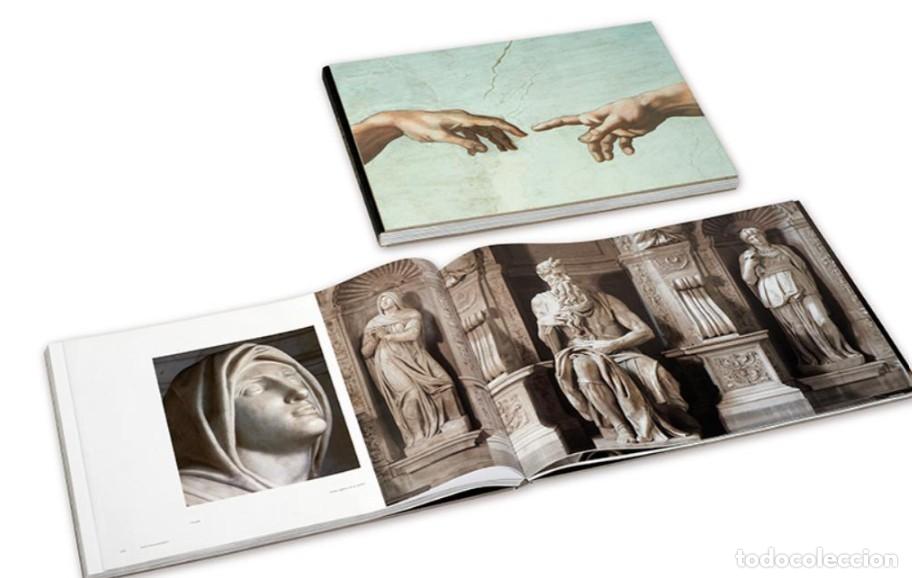 Libros: Las manos de la creaci&oacute;n de Ad&aacute;n - Michelangelo