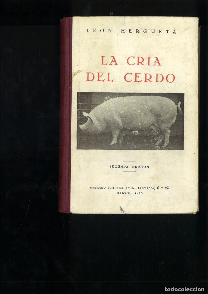 Libros: LA CRIA DEL CERDO. Le&oacute;n Hergueta - Foto 1