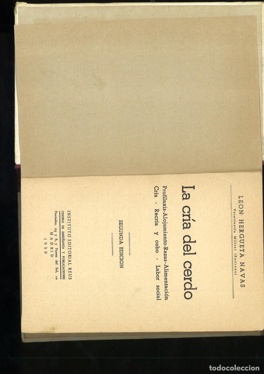Libros: LA CRIA DEL CERDO. Le&oacute;n Hergueta - Foto 2