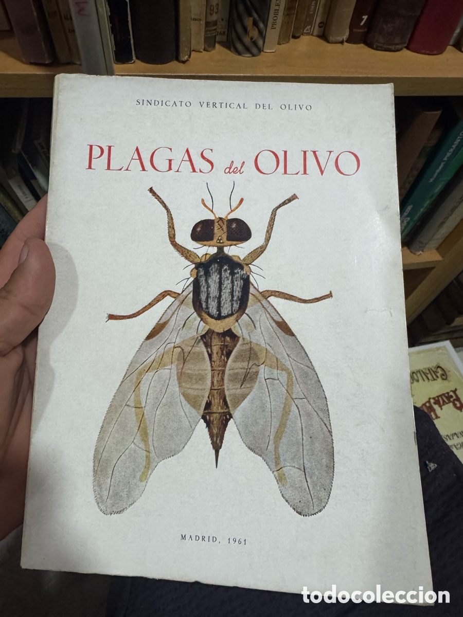 Libros: Sindicato vertical Plagas del Olivo