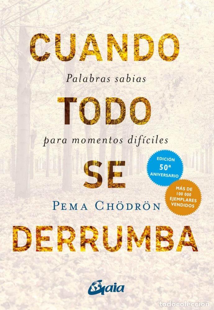 books: CUANDO TODO SE DERRUMBA - CH&Oacute;DR&Oacute;N, PEMA